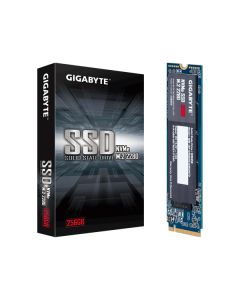 Gigabyte 256GB NVMe M.2 SSD