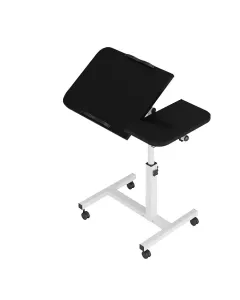 Gamvity Lifting And Rotating Laptop Desk For Home And Office (60X40cm) DW-1 - Black