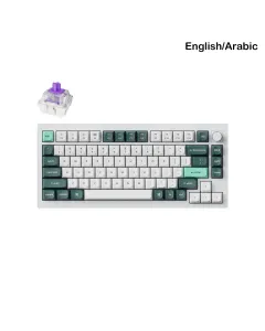 Keychron Q1 He 75% Rgb Backlight Swappable Fully Assembled Knob, Qmk Wireless Mechanical Gaming Keyboard (Gateron Double-rail Magnetic Nebula Switch) - Shell White - English/arabic Keyboard