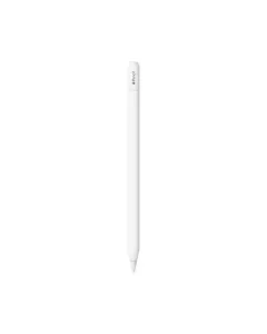 Apple Pencil (Usb-c)