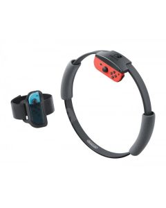 Nintendo Switch Ring Fit Adventure R2
