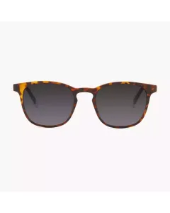 Barner Dalston Sunglasses - Tortoise