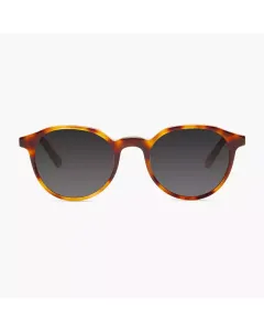 Barner Williamsburg Sunglasses - Havana