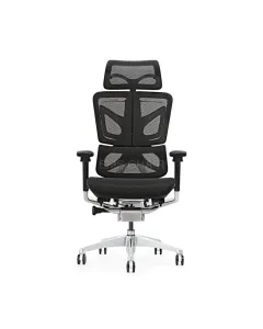 GAMVITY Ergonomic Mesh Office Chair – Black Aluminum Alloy (Original)