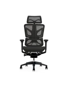 GAMVITY Ergonomic Mesh Office Chair – Black Aluminum Alloy (Spray-Painted Finish)