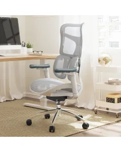 SIHOO S300 Ergonomic Mesh Office Chair with 6D Armrests – White/Grey