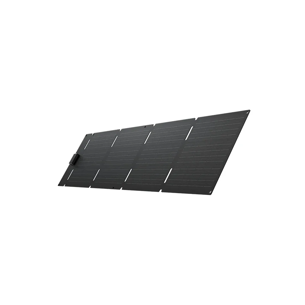 EcoFlow 60W Portable Solar Panel (Type-C )